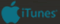 go to iTunes